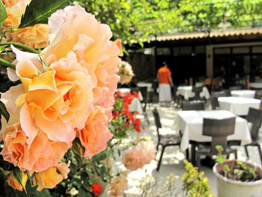 Lesse Hotel Chalkidiki Bagian luar foto
